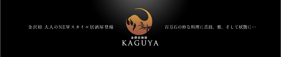VKAGUYA