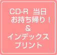 CD-RŃf[^𓖓AICfbNXvgt